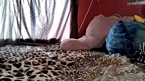 sexiwhiskey699 online show from 02/21/26, 10:33