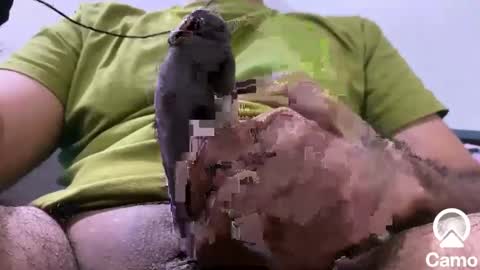 Snapshot of sexmachine4ubabes chatting on 12/09/24, 03:50 sexmachine4ubabes online show from 12/09/24, 03:50