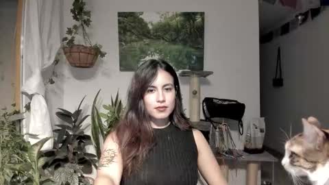         online show from 02/06/26, 01:54