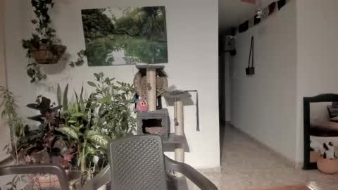         online show from 04/21/26, 11:29