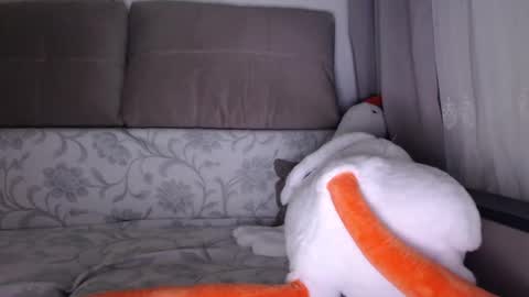Snapshot of sexsy_bunny chatting on 10/01/25, 05:13 See you on October going to miss you guys incredibly. Subscribe to my Onlyfans Channel to follow the news online show from 10/01/25, 05:13