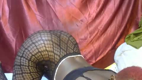 triza online show from 09/21/25, 06:15