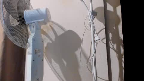 Alice online show from 09/20/25, 11:06