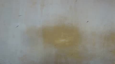 Snapshot of sexy_candy9 chatting on 11/11/25, 09:53 sexy_candy9 online show from 11/11/25, 09:53