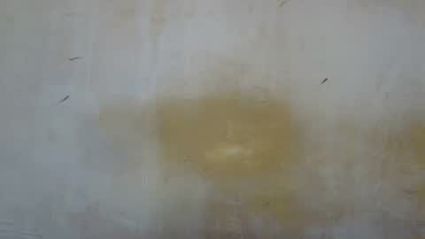 Snapshot of sexy_candy9 chatting on 11/12/25, 08:59 sexy_candy9 online show from 11/12/25, 08:59