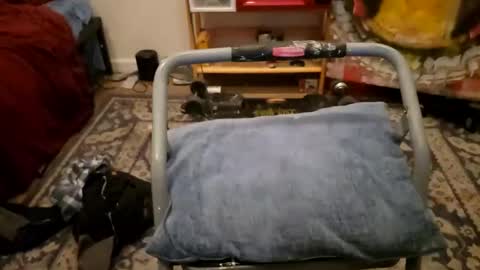 Snapshot of sexy_cayden chatting on 01/23/25, 11:58 Cayden online show from 01/23/25, 11:58