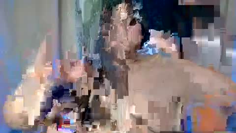 ALFREA online show from 02/17/25, 07:47