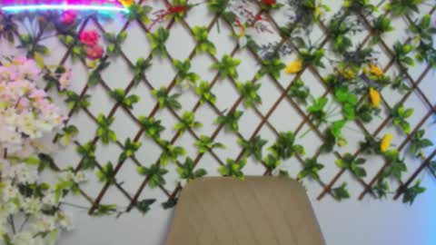 Lily online show from 03/26/26, 03:56