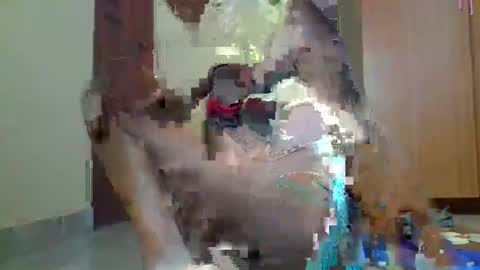 Sexybilha483 online show from 02/22/25, 11:57