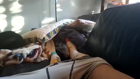 UrbanCowboy2023 online show from 01/31/26, 08:07