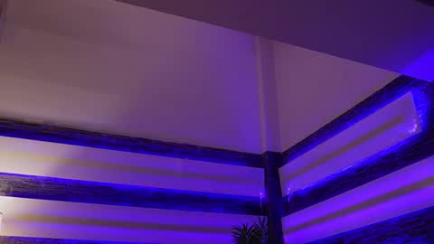 Celline online show from 11/27/25, 05:09