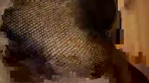 Forever Erotica online show from 11/09/25, 11:25