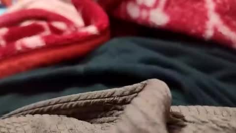 Snapshot of sexyd9913 chatting on 12/01/24, 05:35 Sexyd online show from 12/01/24, 05:35