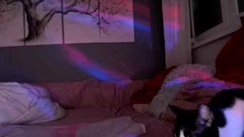     .... ............ Onlyfans   online show from 03/22/26, 06:44