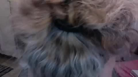 Snapshot of sexyfit58 chatting on 12/15/24, 01:57 SexyFit58 online show from 12/15/24, 01:57