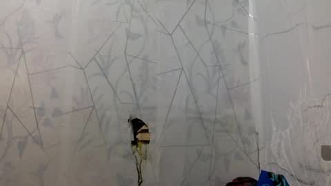 miss jade so online show from 04/15/26, 11:50