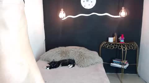 Snapshot of sexykata_of chatting on 12/15/24, 12:40 Kata sexy online show from 12/15/24, 12:40