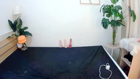 Snapshot of sexytrixie11 chatting on 06/22/26, 03:47 sexytrixie11 online show from 06/22/26, 03:47