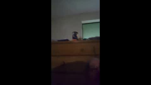 sgtbrown01 online show from 04/23/26, 12:40