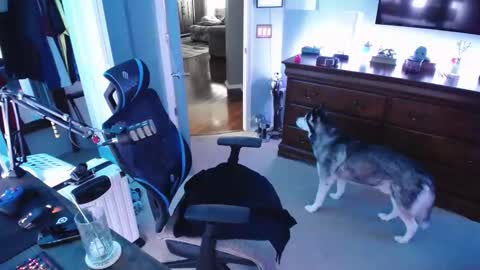 shaftyone4u online show from 01/16/25, 09:40