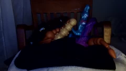 shakespeareisahomie online show from 02/19/26, 02:40