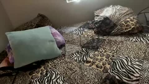 Snapshot of shamanwoman chatting on 12/06/24, 11:57 Shaman Woman online show from 12/06/24, 11:57
