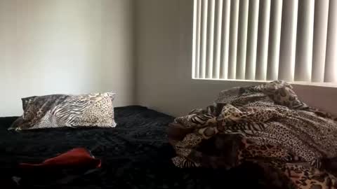 Snapshot of shamanwoman chatting on 12/25/24, 08:07 Shaman Woman online show from 12/25/24, 08:07
