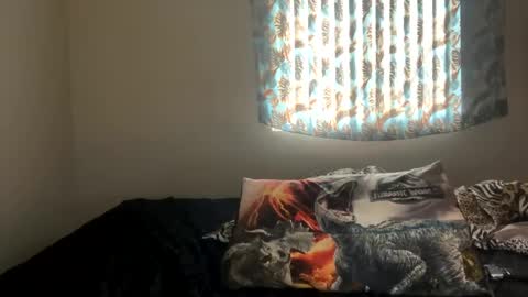 Snapshot of shamanwoman chatting on 12/27/24, 07:24 Shaman Woman online show from 12/27/24, 07:24