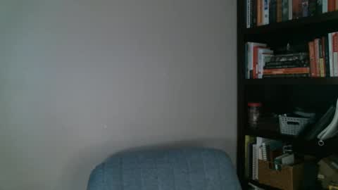 Snapshot of shamelesswetdream chatting on 02/24/25, 01:35 shamelesswetdream online show from 02/24/25, 01:35