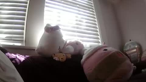 shampooprincess001 online show from 03/21/26, 08:12