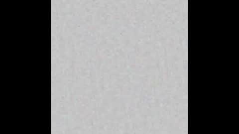 Shane  Shiloh online show from 02/02/26, 02:21