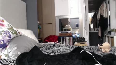 Shannon07 online show from 01/13/25, 02:50