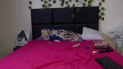 shanty_hugs online show from 12/17/24, 12:45