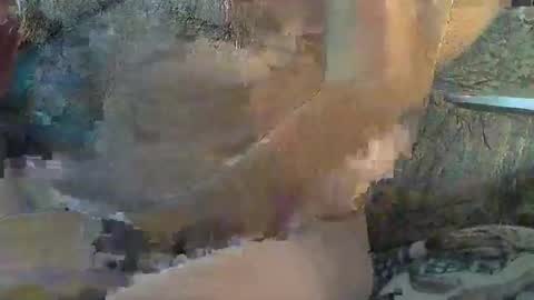 Sharkey644 online show from 11/11/25, 04:40