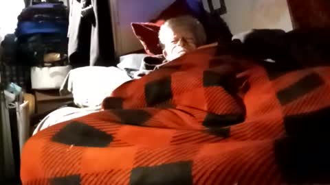 Shamroc online show from 12/04/24, 12:03