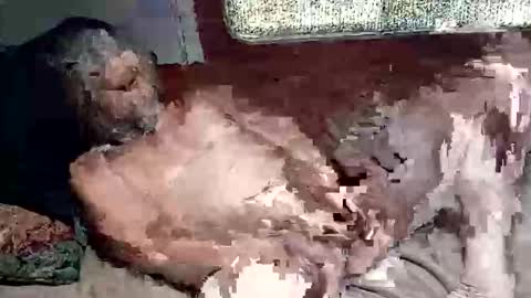 Shamroc online show from 03/04/26, 02:45