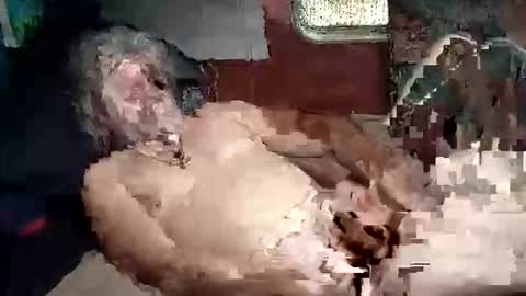 Shamroc online show from 03/05/26, 02:02