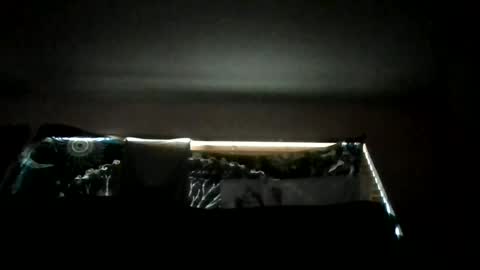 Snapshot of shawty_hung420 chatting on 06/18/26, 01:06 shawty_hung420 online show from 06/18/26, 01:06