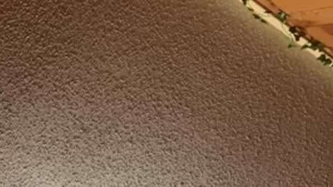 shaytin0 online show from 12/20/25, 04:47