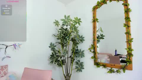 Shego  online show from 11/26/25, 12:22