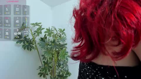 Snapshot of shegoblake chatting on 12/19/25, 12:50 Shego online show from 12/19/25, 12:50