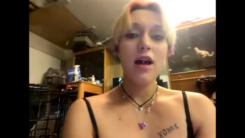 Snapshot of shelbybaby01 chatting on 12/29/24, 01:49 Shelby holes online show from 12/29/24, 01:49