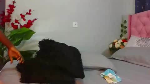 shelia420715 online show from 04/09/26, 02:55