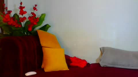 Snapshot of shelia420715 chatting on 07/25/26, 07:28 shelia420715 online show from 07/25/26, 07:28