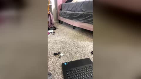 Shelia Averette online show from 12/20/25, 01:56