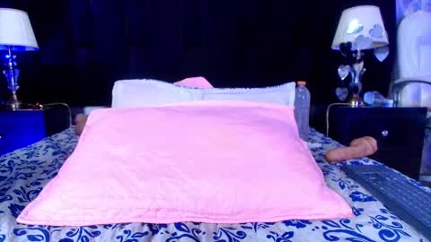 Shelsy online show from 02/19/25, 02:55