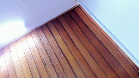 mia online show from 01/08/25, 02:14