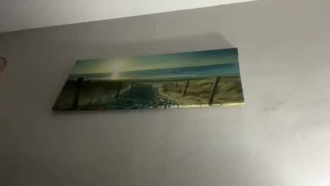 shida109 online show from 11/26/25, 06:09