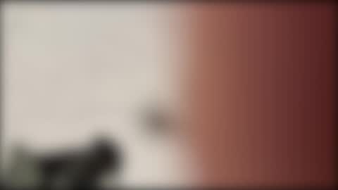 shifted1 online show from 01/01/25, 11:18