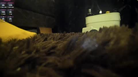 Snapshot of shinigamidoll chatting on 03/07/25, 02:15 Shinigamidoll see you soon online show from 03/07/25, 02:15